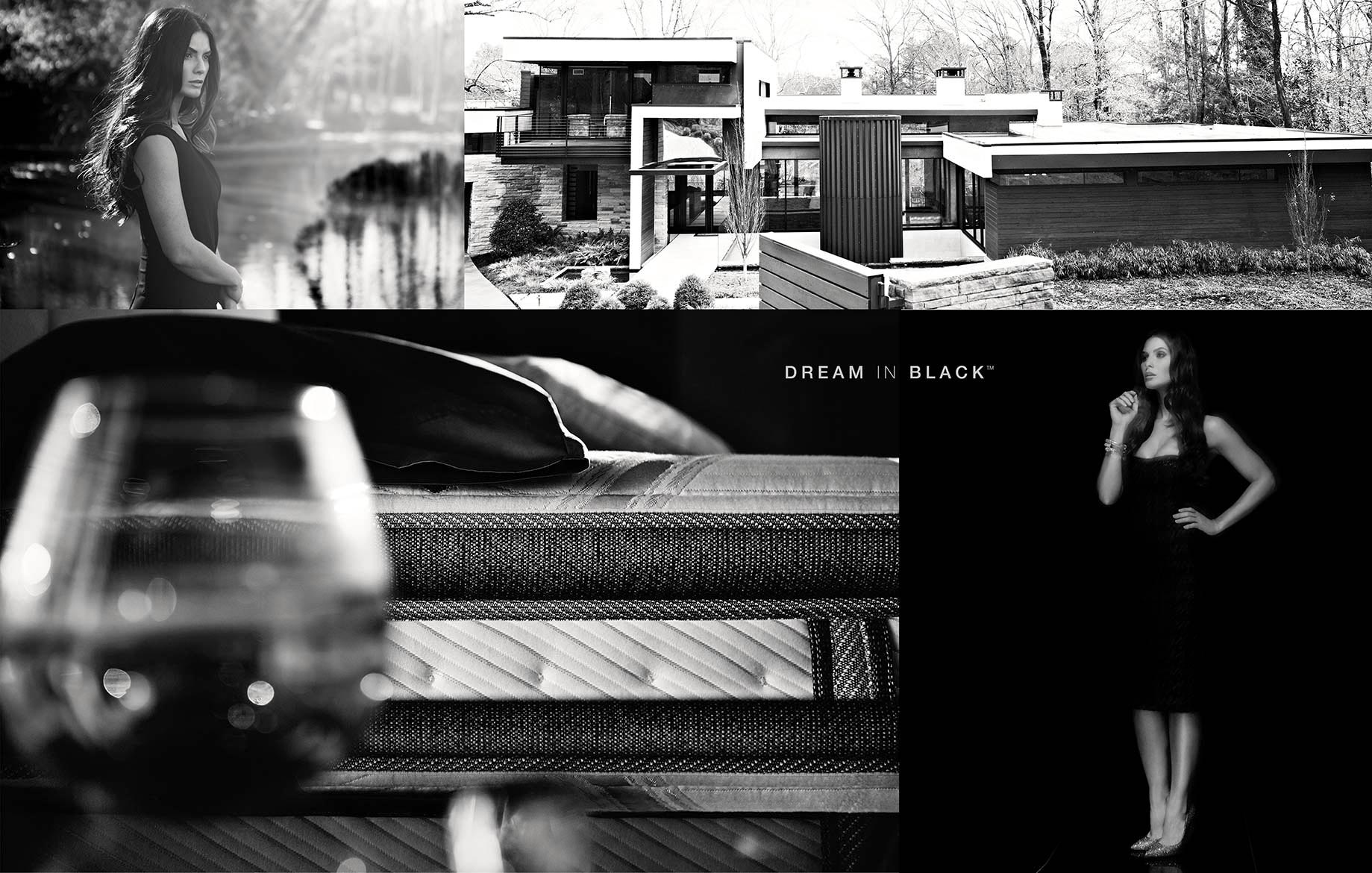 STEVEN-LIPPMAN-3